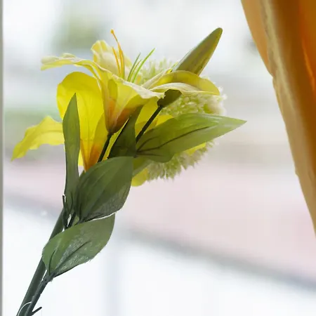 Flower *